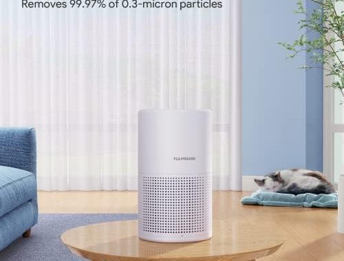 Amazon.com: Air Purifiers for Bedroom, FULMINARE H13 True HEPA Air Filter, Quiet Air Cleaner With Ni
