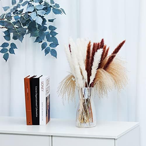 Amazon.com: Glass Vase, 8" Tall Ins Modern Irised Crystal Clear Glass Vases for Décor Flowers Center