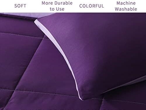 Amazon.com: Exclusivo Mezcla Lightweight Reversible 3-Piece Comforter Set All Seasons, Down Alternat