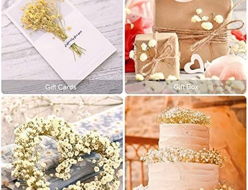 beerfingo Dried-Flowers-Babys-Breath-Bouquet-17.2 inch 2500+ Flowers, Natural Gypsophila Branches fo