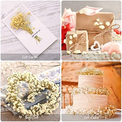 beerfingo Dried-Flowers-Babys-Breath-Bouquet-17.2 inch 2500+ Flowers, Natural Gypsophila Branches fo